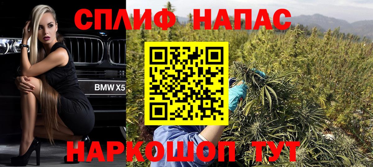 Канабис семена Петровск
